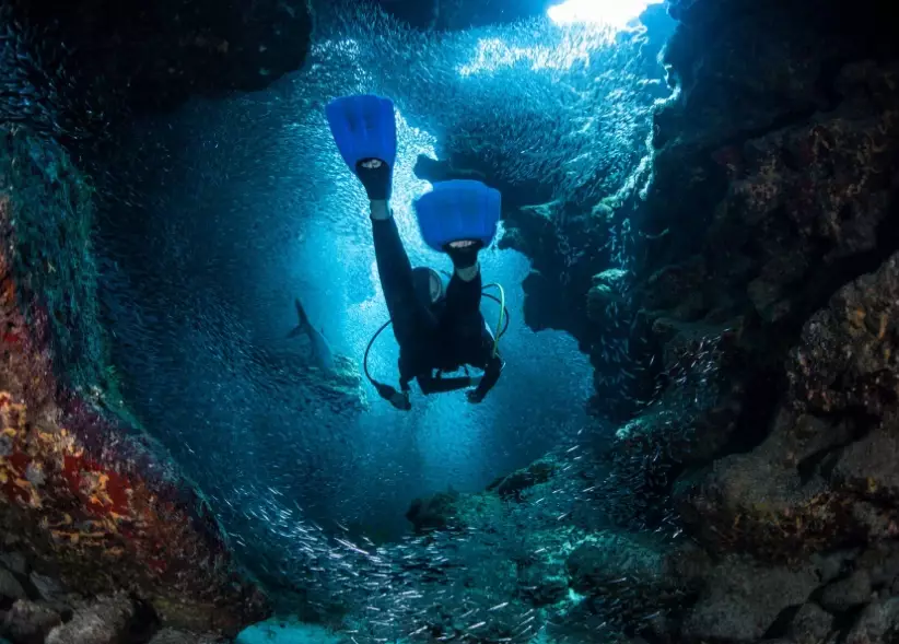 best Caribbean dive sites