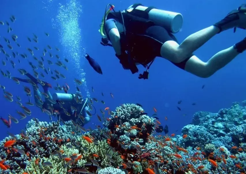 best time to dive Palawan