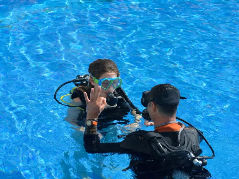 best diving spots near me best diving spots near me