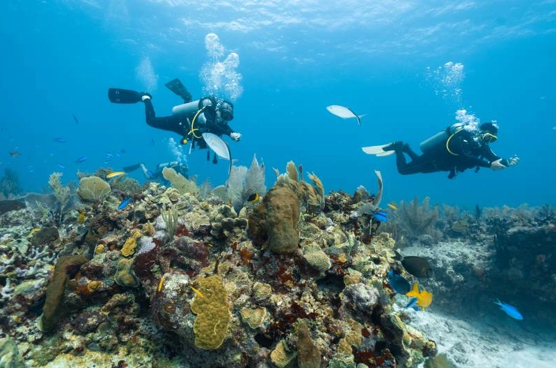 What are the best scuba diving places in the world