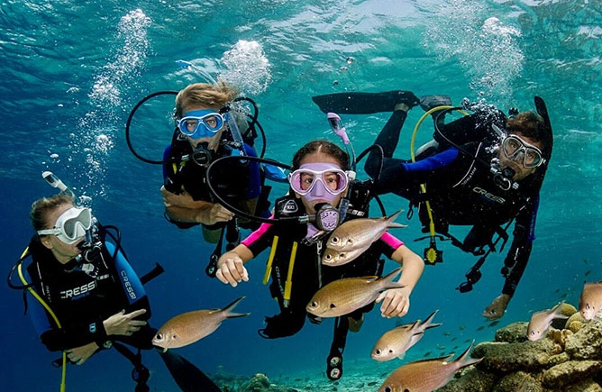 scuba diving travel guide
