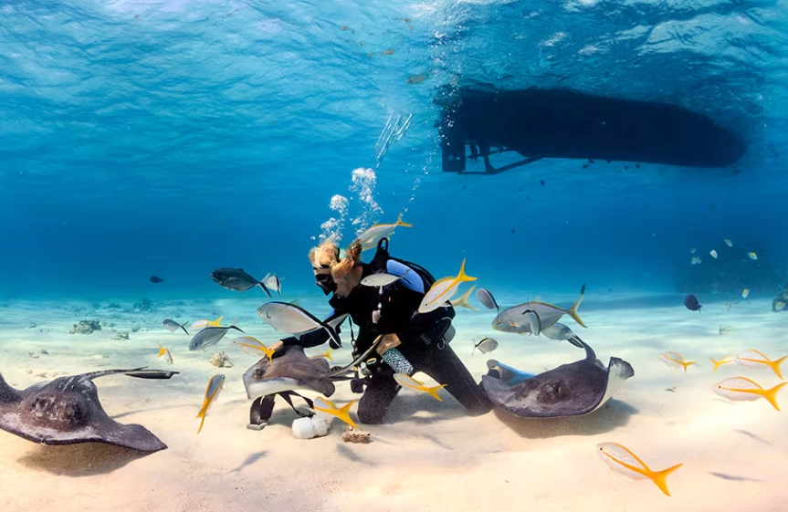 best Caribbean dive sites