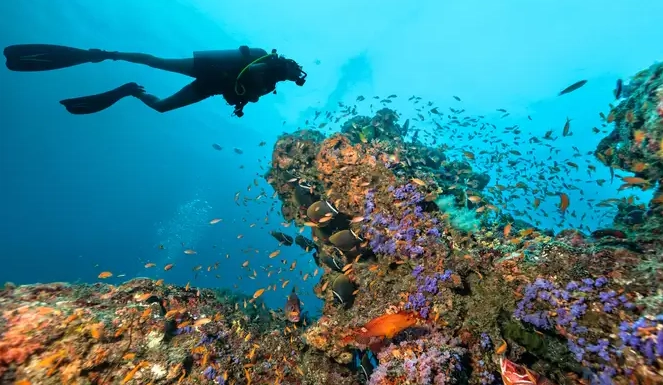 scuba diving travel guide