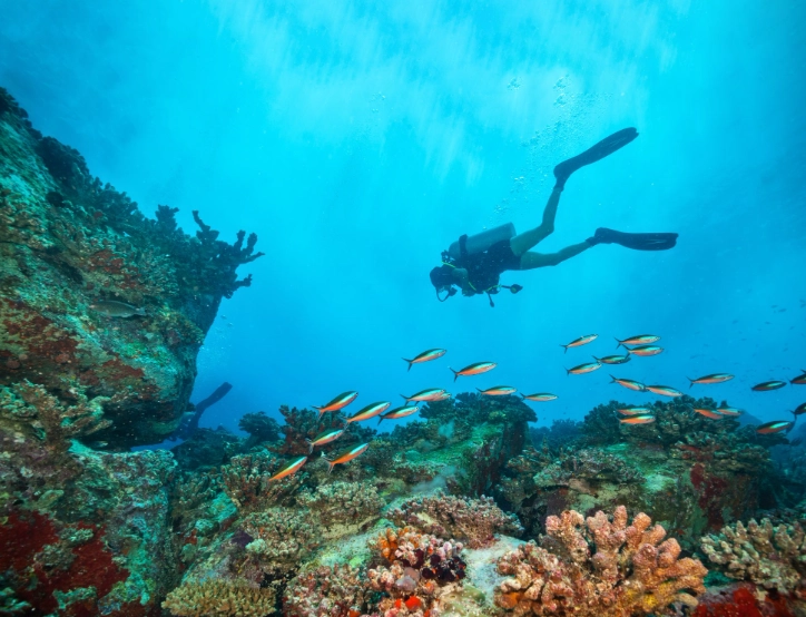 Caribbean diving destinations