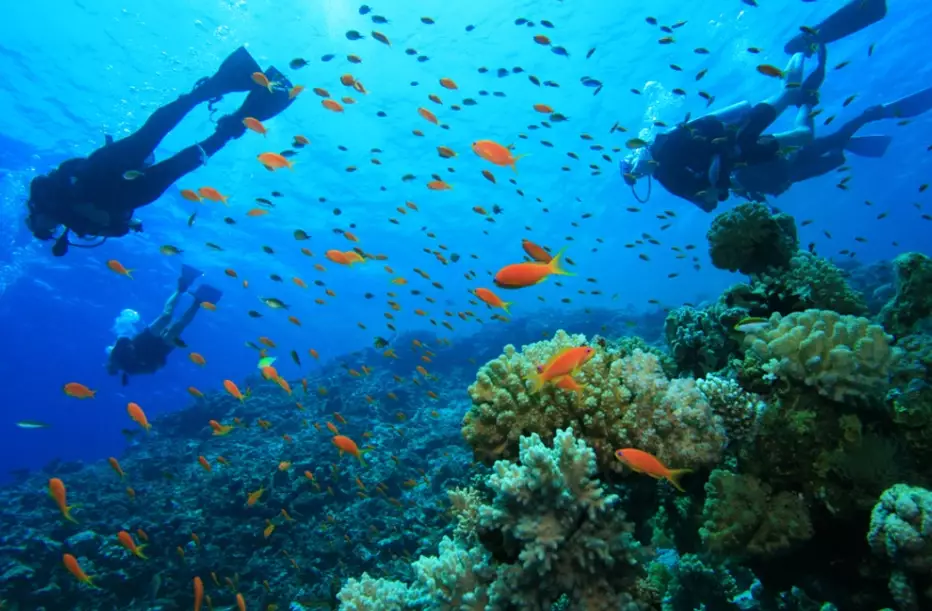 world-class diving locations