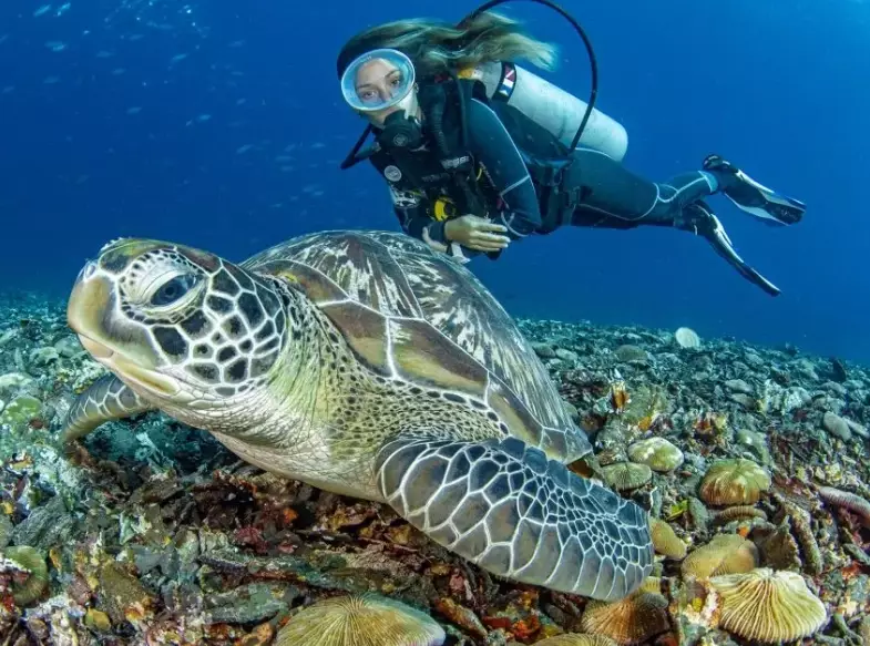 Palawan diving weather
