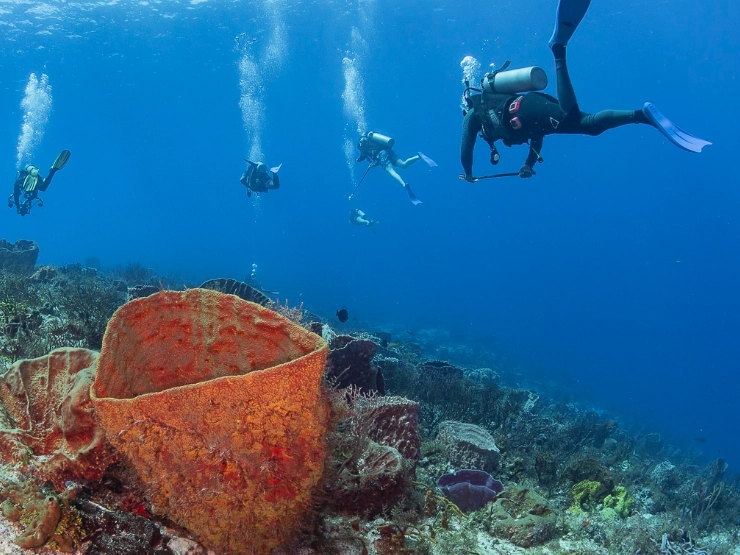 dive capital of the Philippines