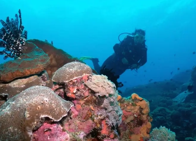 Where is the best scuba diving in the US?