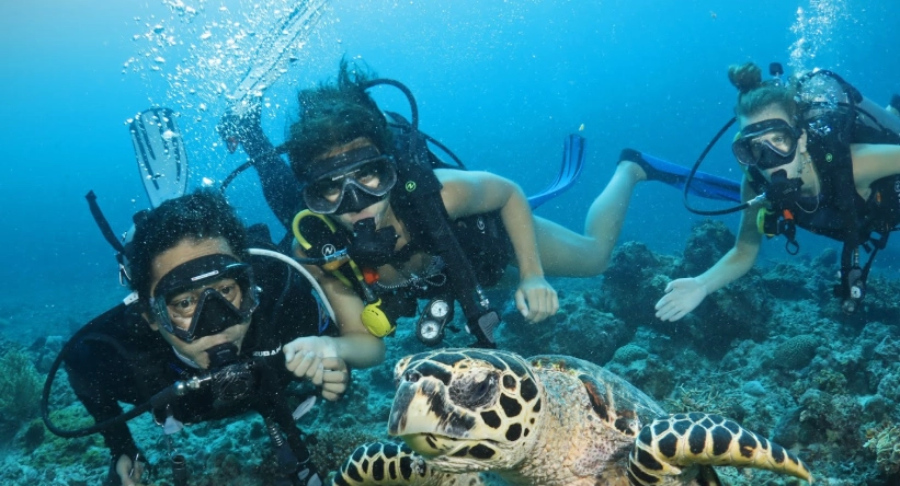 What is the dive capital of the Philippines?