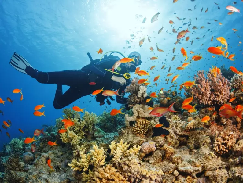 best diving destinations September