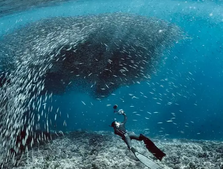 Philippines diving capital