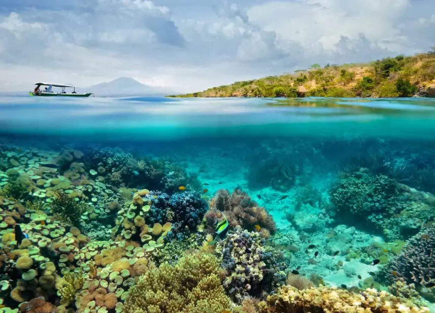 Philippines liveaboard diving