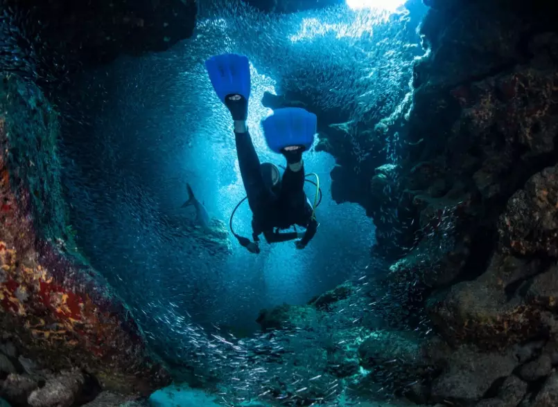 caribbean diving december