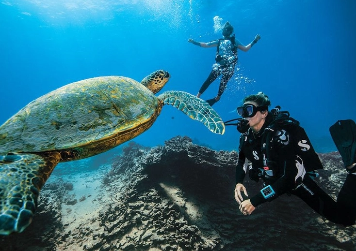 best scuba diving in Florida
