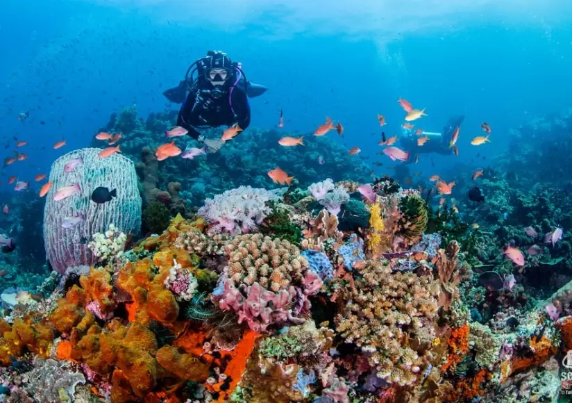 Philippines diving capital