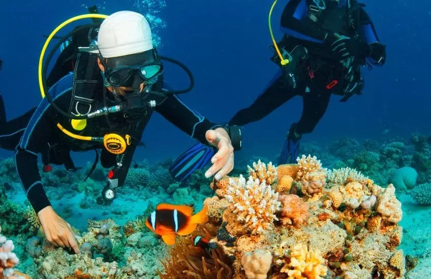 Philippines dive sites