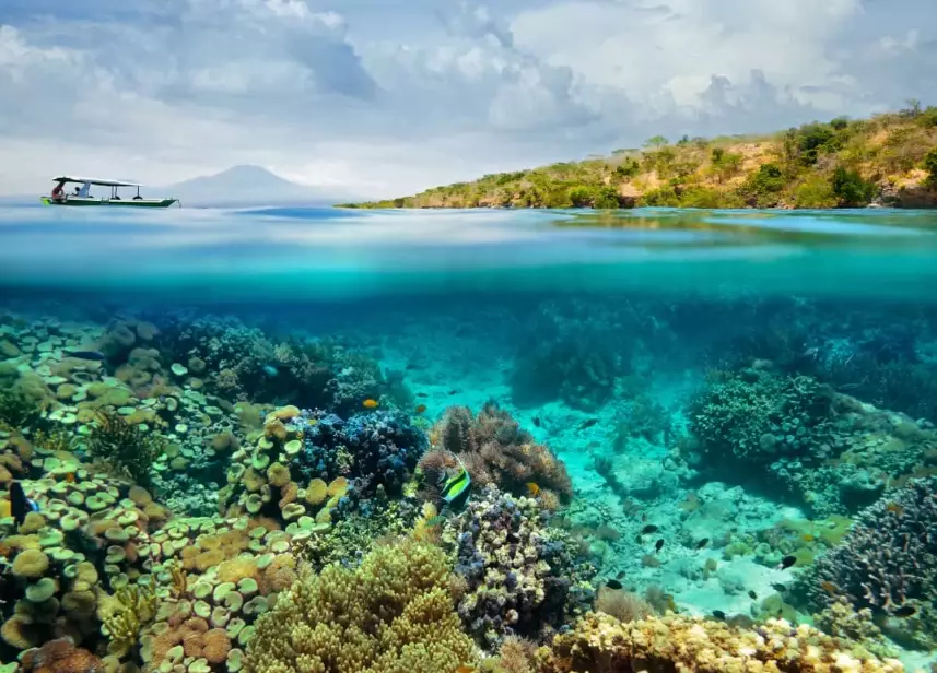 Philippines diving spots