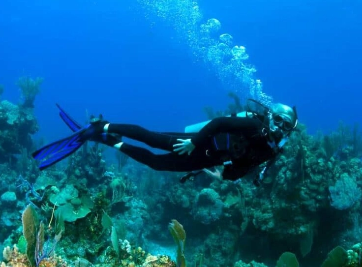 Best Caribbean Dive Spots: Top Destinations for Scuba Divers