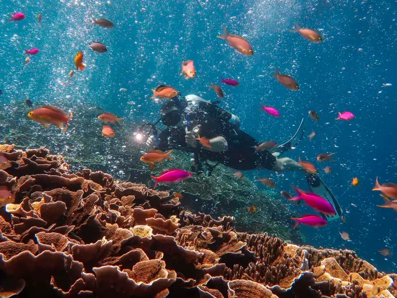 Philippines diving spots