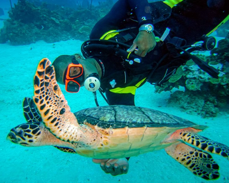 best dive sites Caribbean