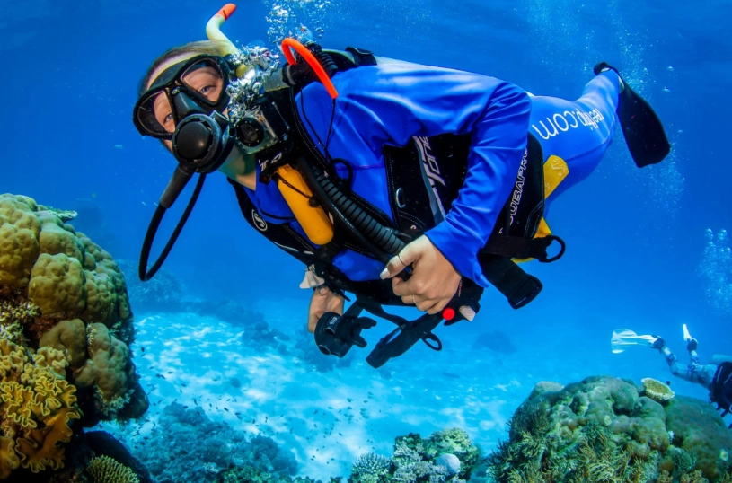 best diving november