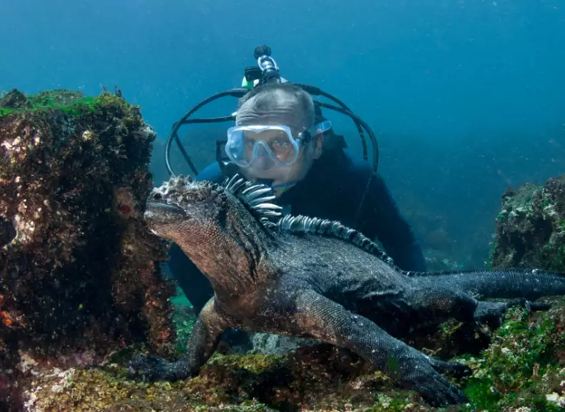 best diving in the world