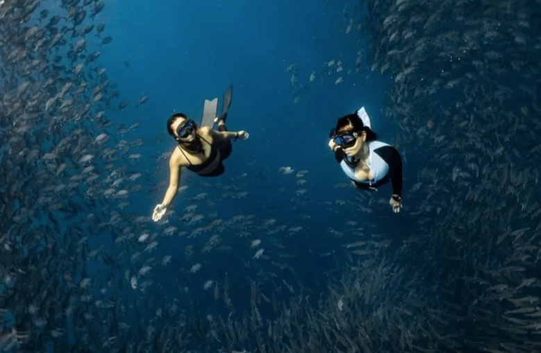 top scuba diving Philippines