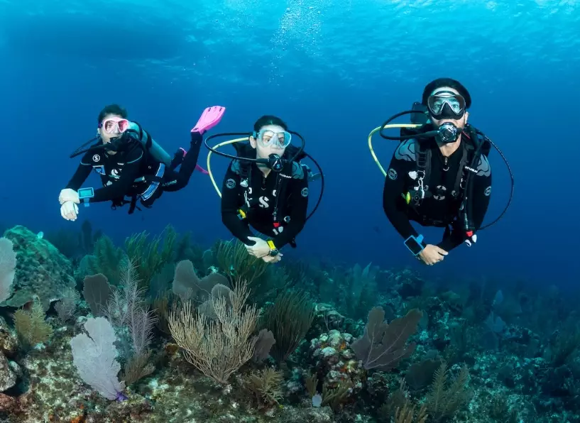 affordable scuba trips