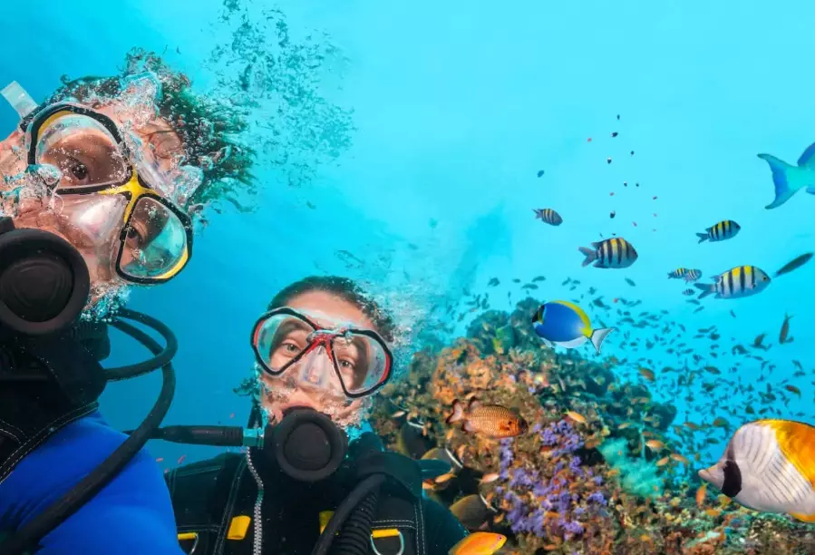 Best Places to Scuba Dive in November: A Diver's Guide