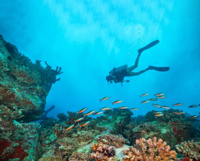 Caribbean diving destinations