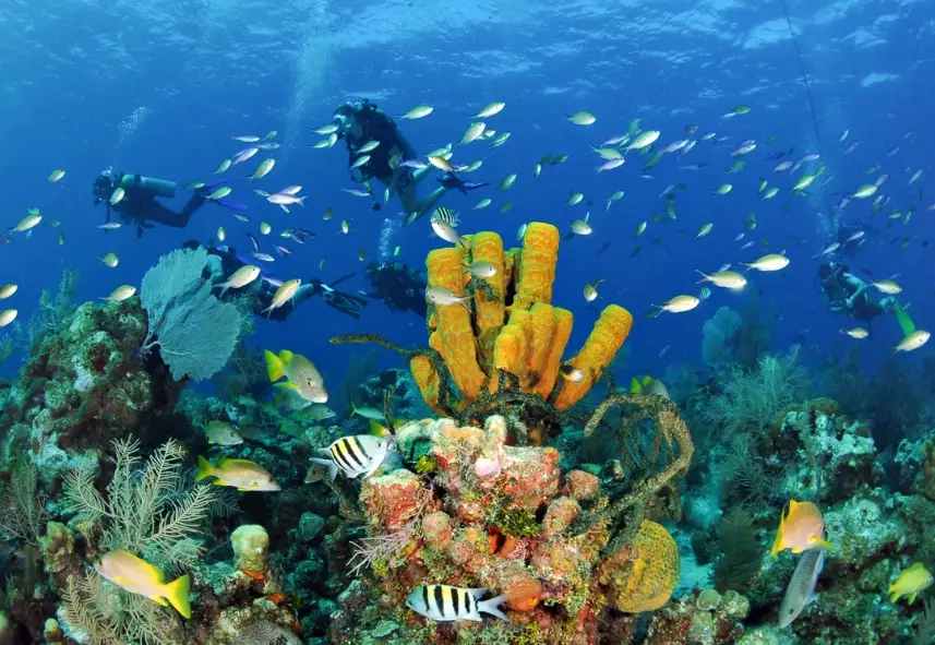 Caribbean diving vacation planning