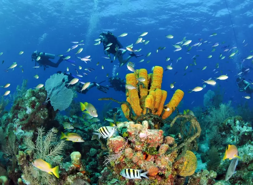 best dive sites Caribbean