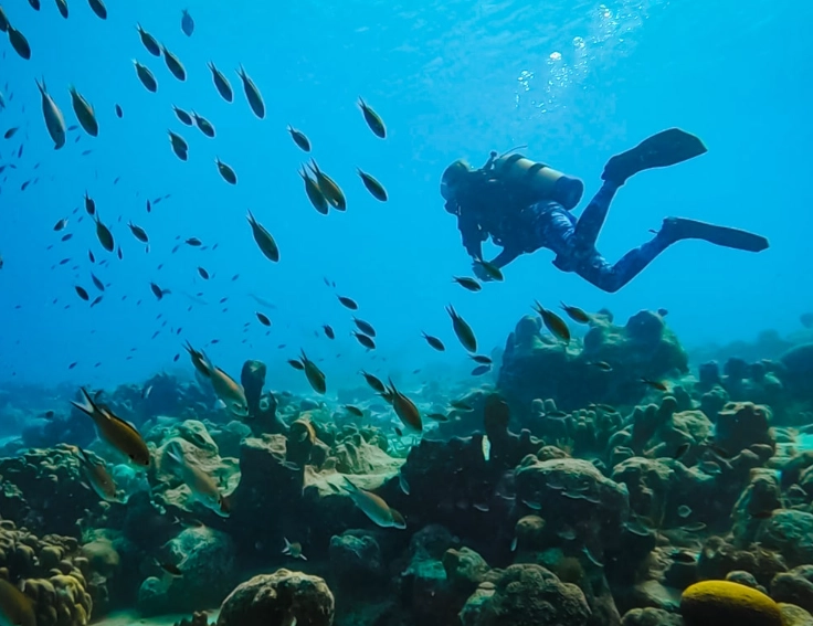 november dive destinations