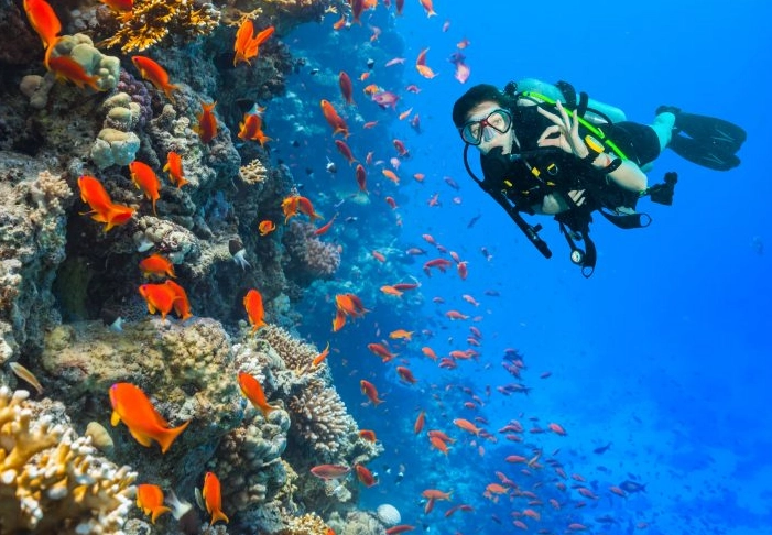 easy scuba diving spots