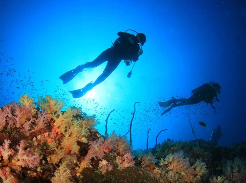 diving capital of the Philippines