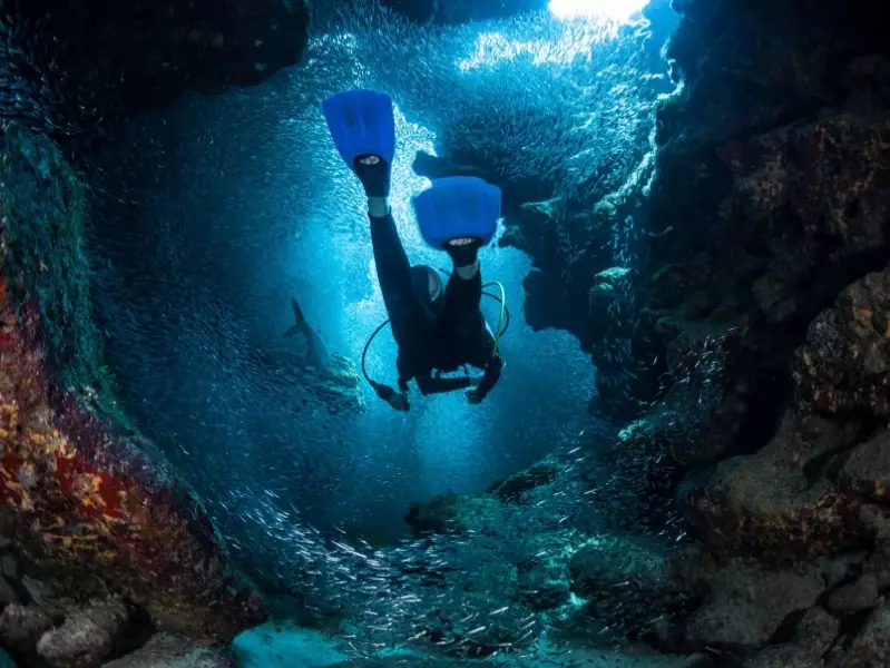 best diving in the caribbean