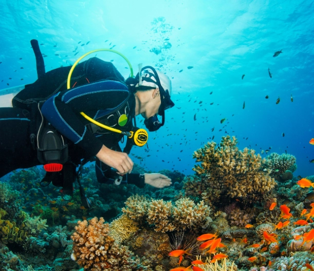 learn to dive philippines