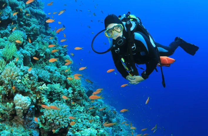 Caribbean scuba diving