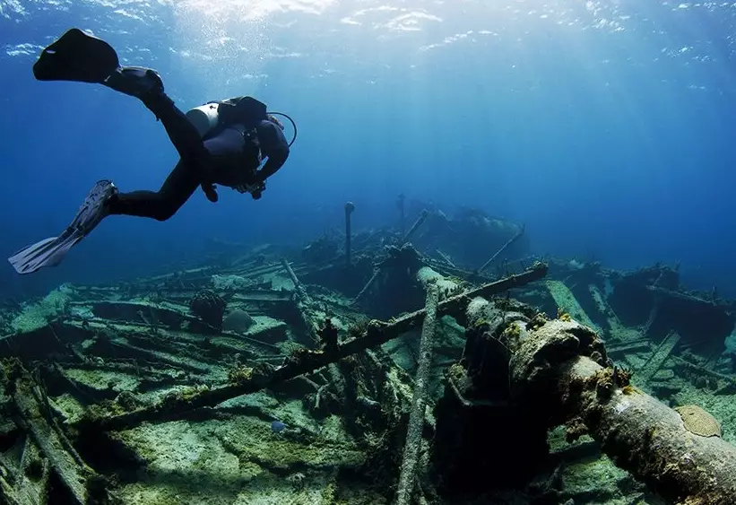 Best Diving in the Caribbean: Top Islands Compared