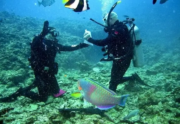 beginner diving Philippines