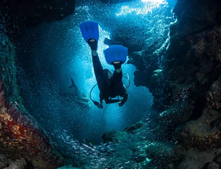 best Caribbean dive sites