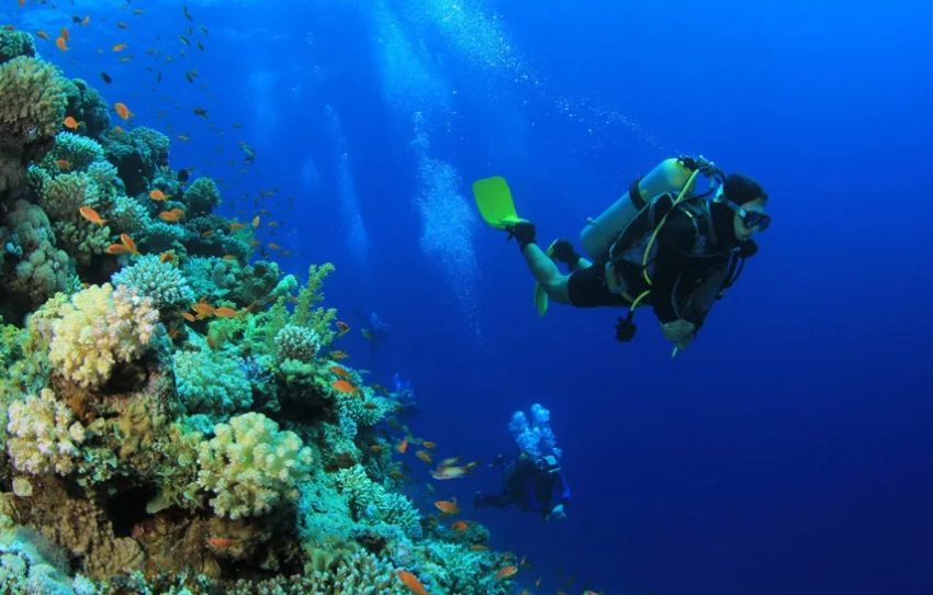 Palawan diving season