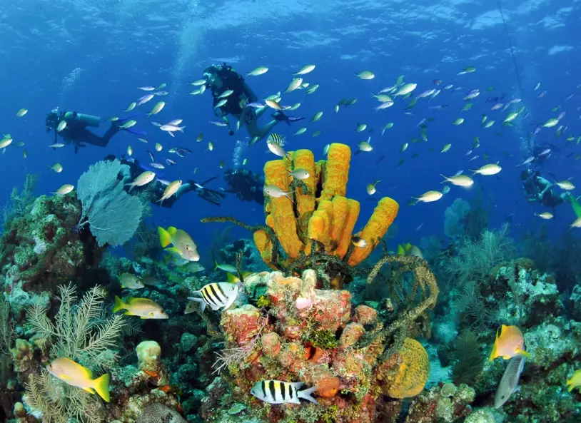best Caribbean dive sites