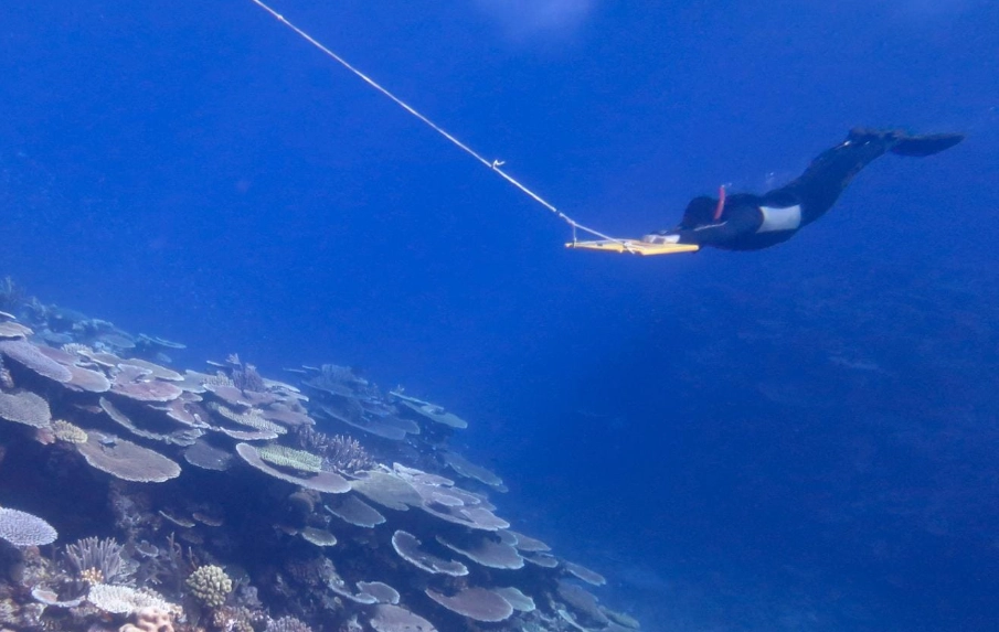 Palawan liveaboard season