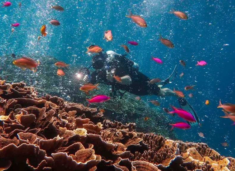 beginner diving Philippines