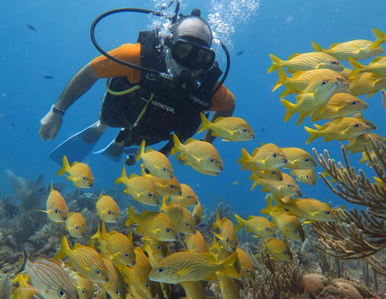 easy scuba diving spots