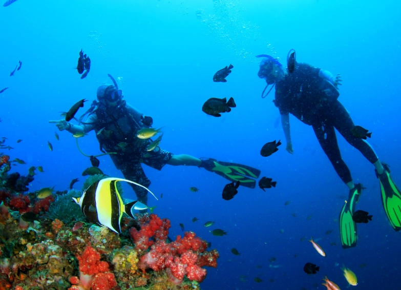 learn to dive philippines