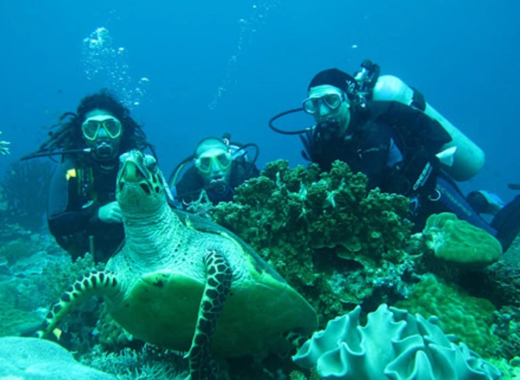 best time to dive Philippines