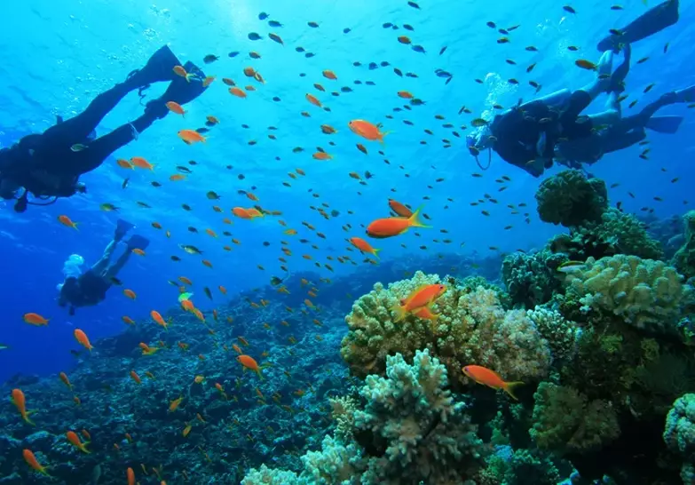 Palawan liveaboard season