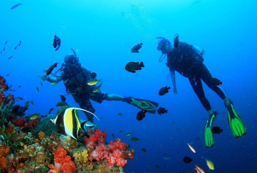 Puerto Galera diving